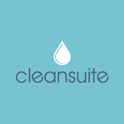 CleanSuite